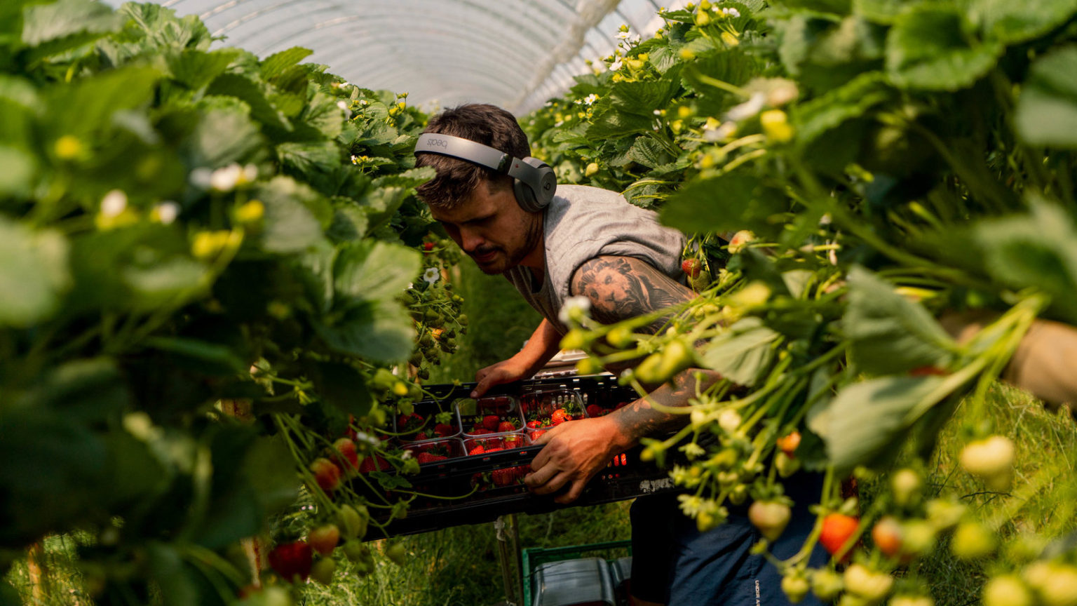 SEASONAL WORKERS PROGRAMME Hale Community Support